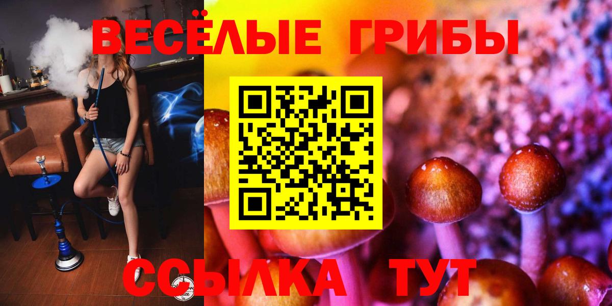 Псилоцибиновые грибы ЛСД Ступино